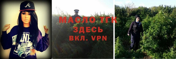 спиды Ладушкин