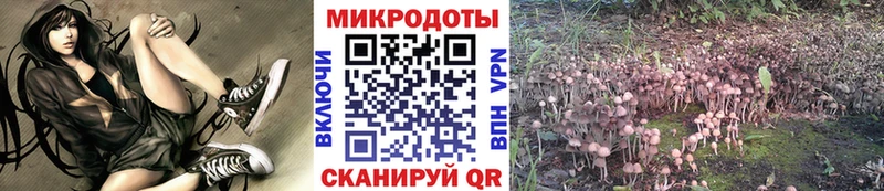 наркота  Агрыз  hydra   Галлюциногенные грибы мухоморы 